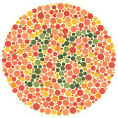 Ishihara Plate 16 from 38